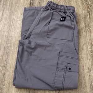 Grey Scrubs (Pants & Top)